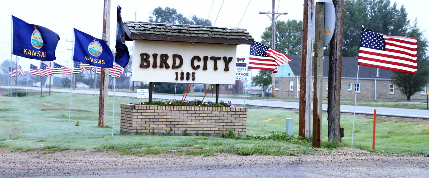 Swingers in bird city kansas